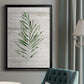 Tropic Frond II - Modern Framed Canvas Print