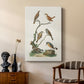 Antique Birds in Nature IV - Canvas Art Print