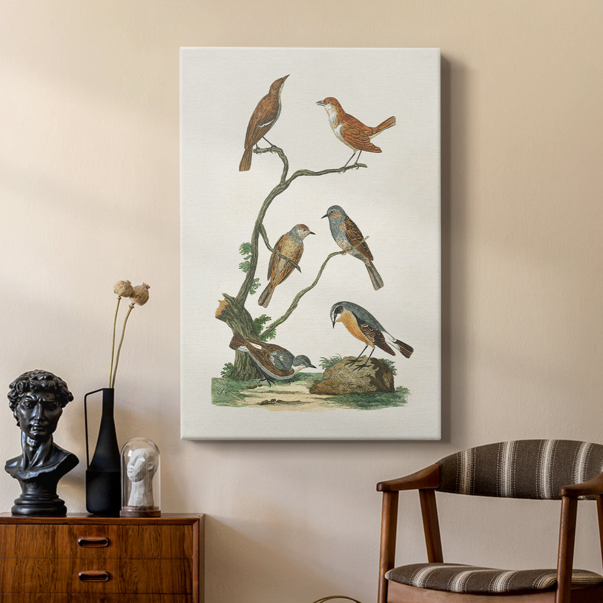 Antique Birds in Nature IV - Canvas Art Print