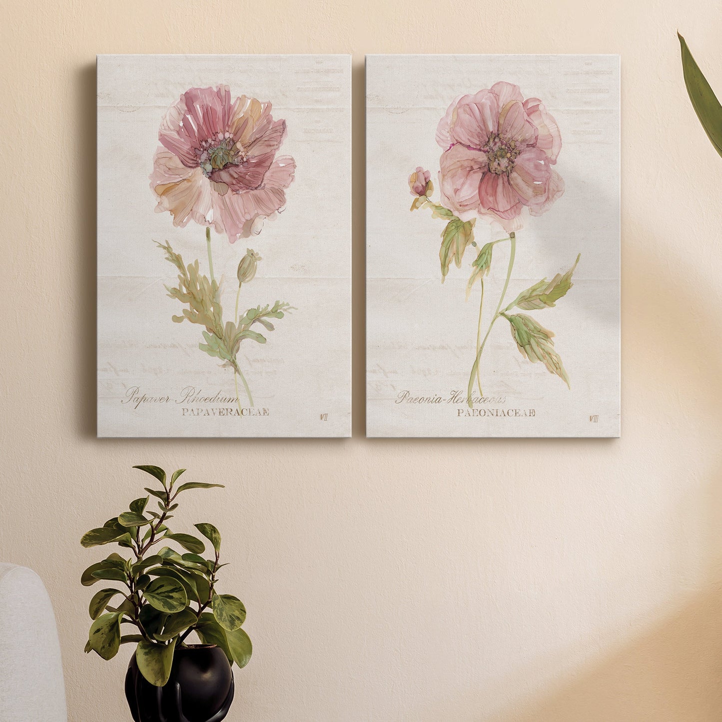 Soft Poppy Premium Gallery Wrapped Canvas - Ready to Hang - Set of 2 - 8 x 12 Each