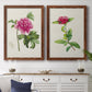 Set of two maple barnwood framed canvas prints depicting a coordinated art pair of pink flowering plant specimens rendered as vintage botanical plate illustrations above a dining room sideboard.