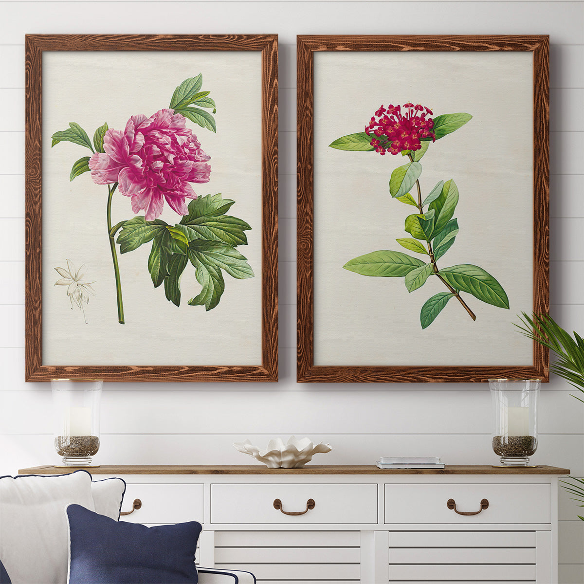Set of two maple barnwood framed canvas prints depicting a coordinated art pair of pink flowering plant specimens rendered as vintage botanical plate illustrations above a dining room sideboard.