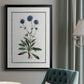 Soft Botanical II - Modern Framed Canvas Print