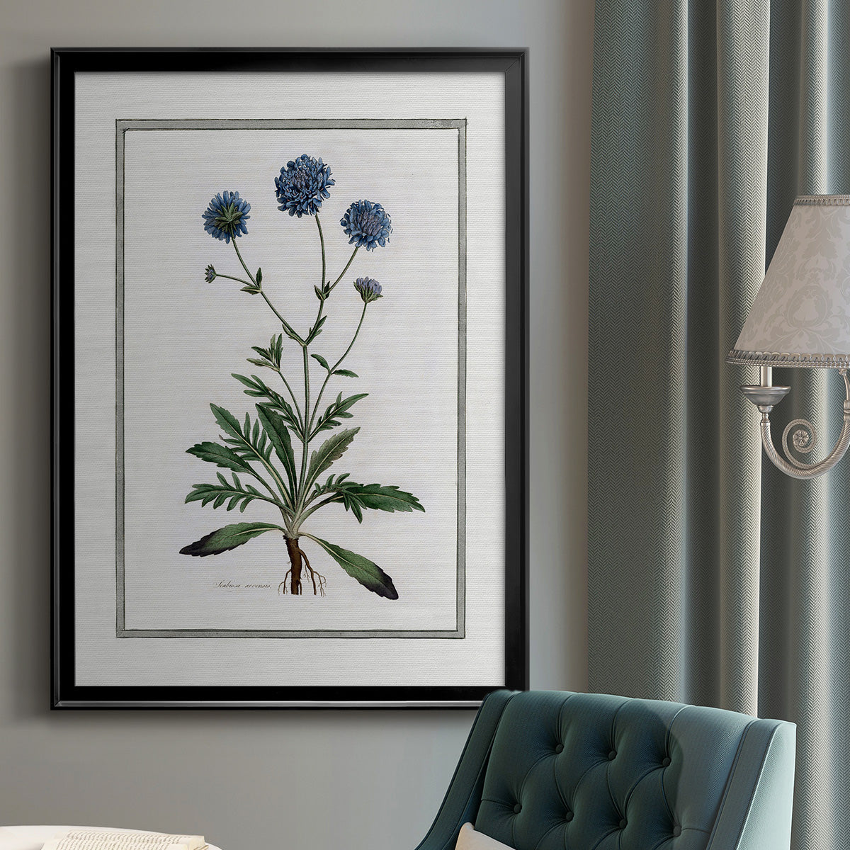 Soft Botanical II - Modern Framed Canvas Print
