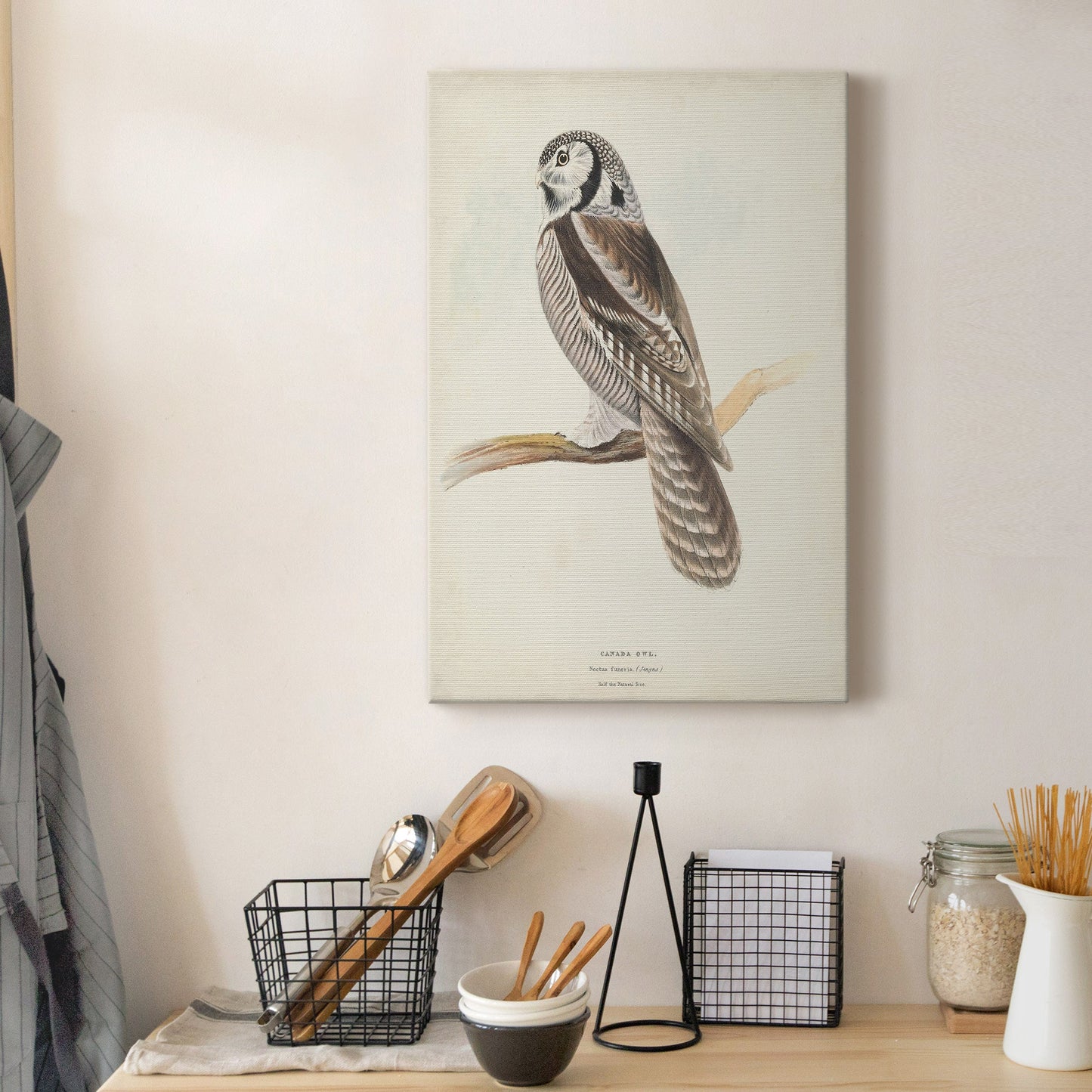 Canada Owl Premium Gallery Wrapped Canvas - Ready to Hang