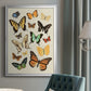 Collected Flutter I - Modern Framed Canvas Print