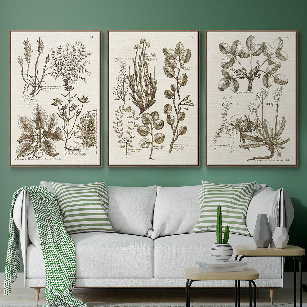 Sepia Botanical Journal VI - Framed Premium Gallery Wrapped Canvas L Frame 3 Piece Set - Ready to Hang