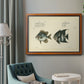 Bloch Antique Fish II Premium Framed Canvas- Ready to Hang