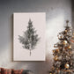 Silver Blessing of Pines - Canvas Art Print