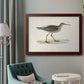 Morris Sandpipers V Premium Framed Canvas- Ready to Hang