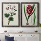 Set of two black barnwood framed canvas prints depicting a coordinated art pair of colorful flowering plant specimens rendered as antique botanical plate illustrations above a dining room sideboard.
