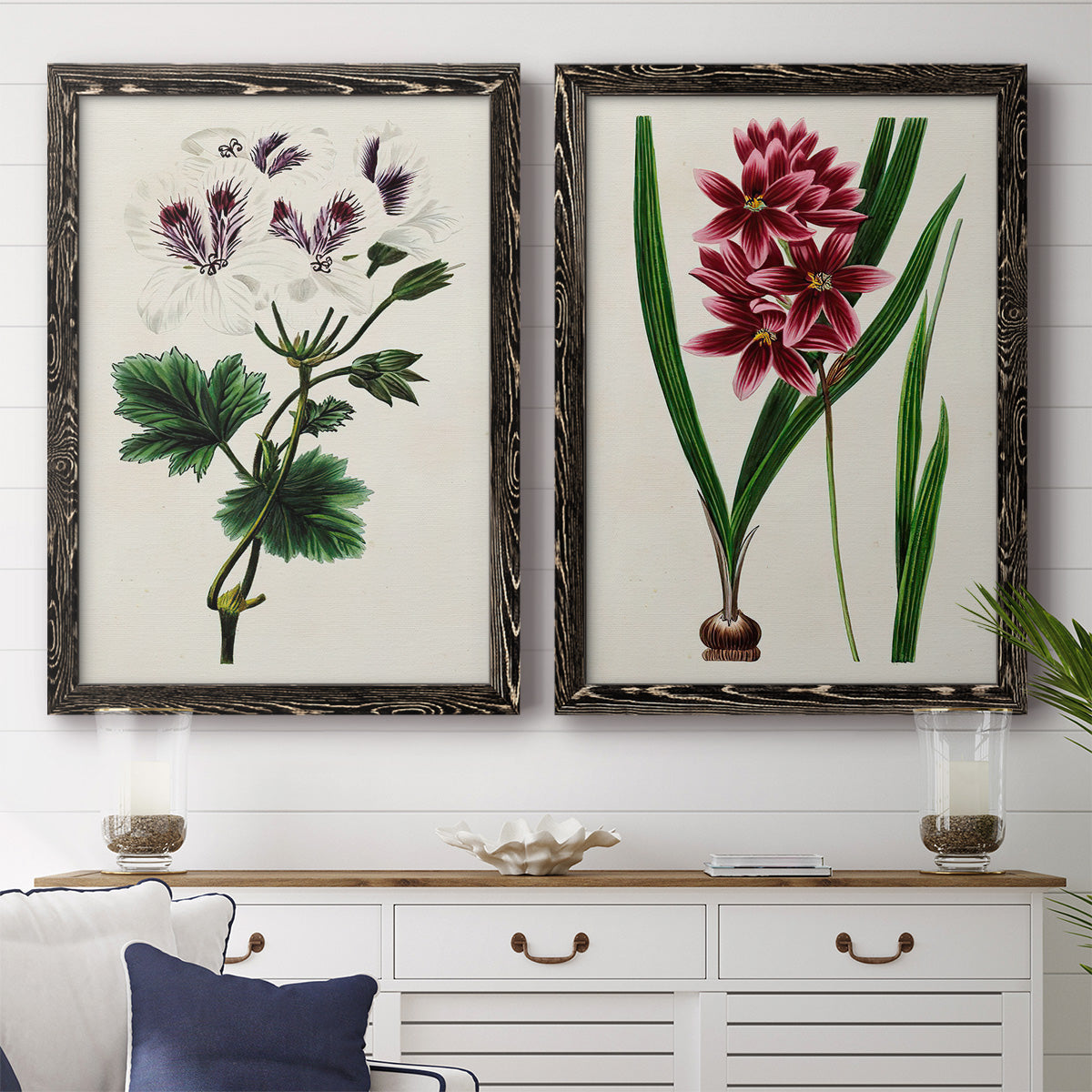 Set of two black barnwood framed canvas prints depicting a coordinated art pair of colorful flowering plant specimens rendered as antique botanical plate illustrations above a dining room sideboard.