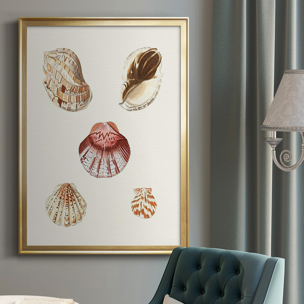 Pastel Knorr Shells V - Modern Framed Canvas Print