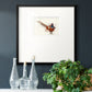 Pheasant Splash 7 Premium Framed Print Double Matboard