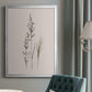 Delicate Stems I - Modern Framed Canvas Print