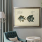 Bloch Antique Fish II Premium Framed Canvas- Ready to Hang