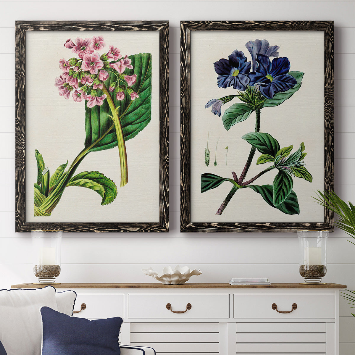Set of two black barnwood framed canvas prints depicting a coordinated art pair of colorful flowering plant specimens rendered as antique botanical plate illustrations above a dining room sideboard.