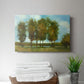 Tall Trees - Canvas Art Print
