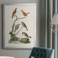 Antique Birds in Nature IV - Modern Framed Canvas Print