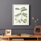 Buchoz Tropicals II - Restickable Framed Art Print