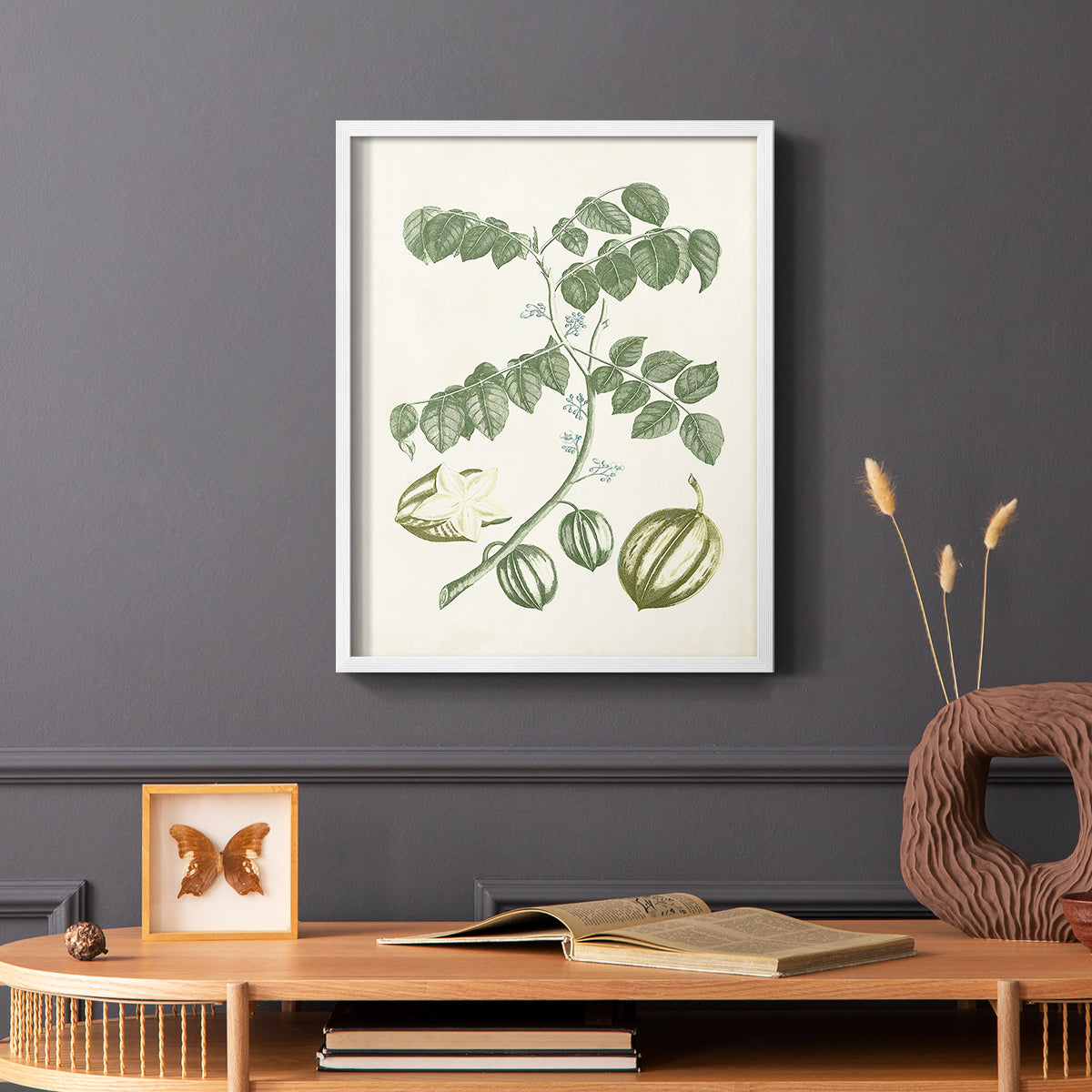 Buchoz Tropicals II - Restickable Framed Art Print