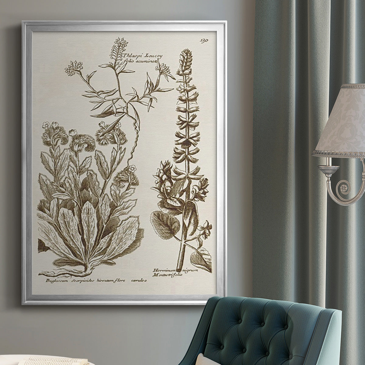 Sepia Botanical Journal IV - Modern Framed Canvas Print