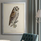 French Owls III - Modern Framed Canvas Print