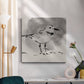 Inky Plover III - Canvas Art Print