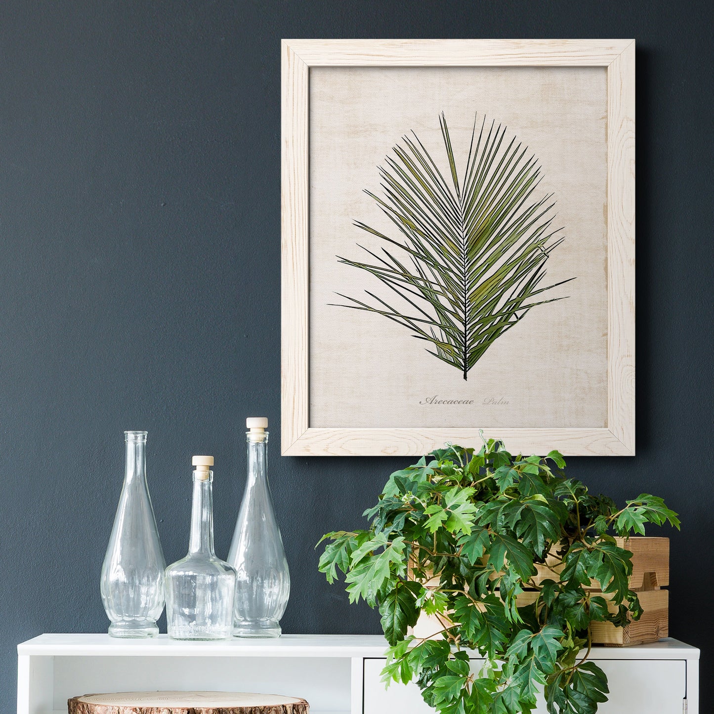 Palm Botanical I - Premium Canvas Framed in Barnwood - Ready to Hang