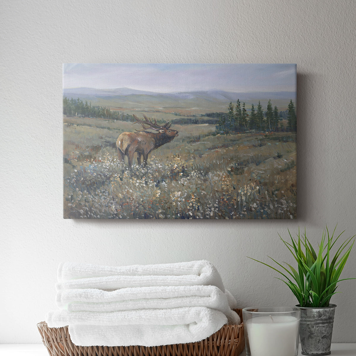 Western Wildlife I - Canvas Art Print