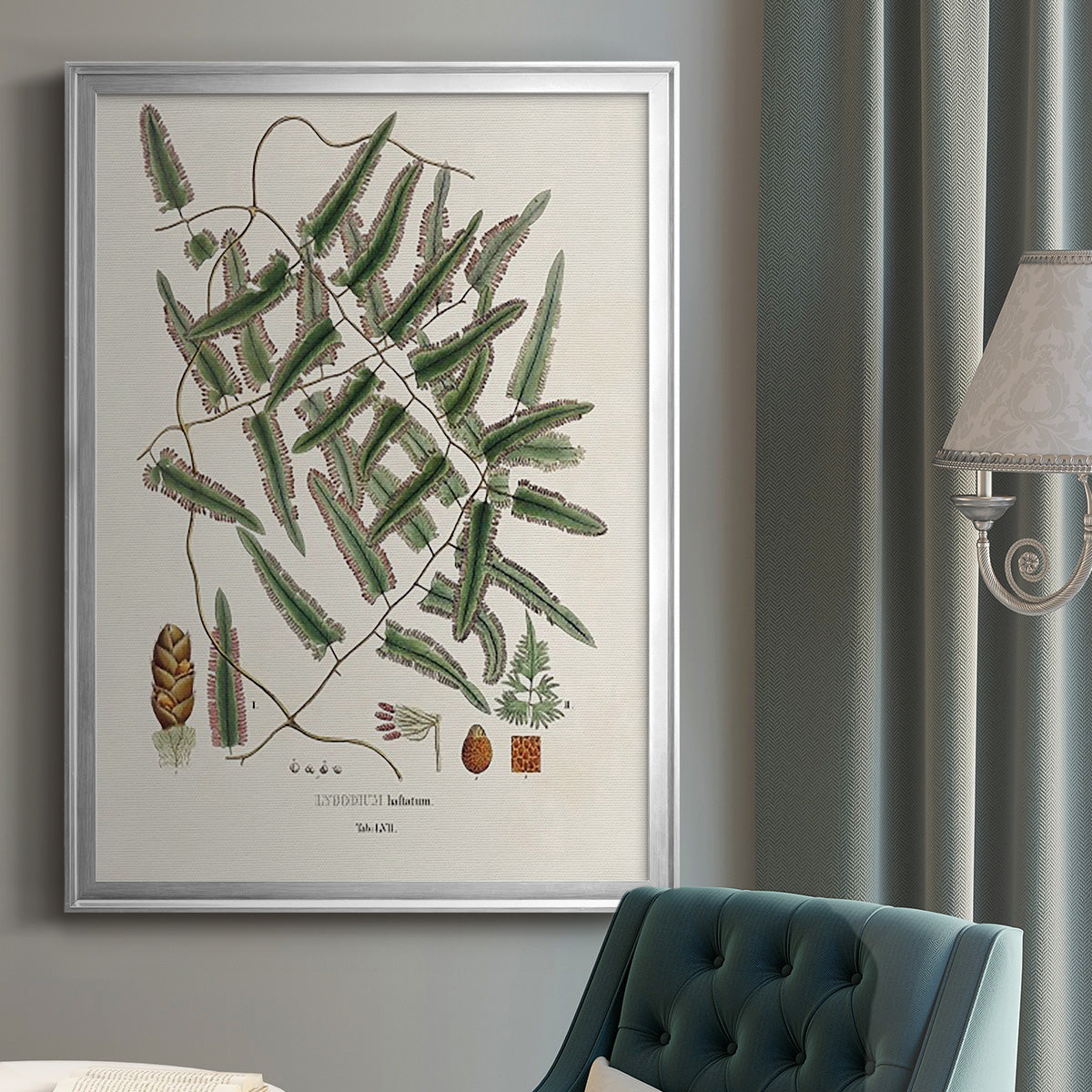 Botanical Society Ferns X - Modern Framed Canvas Print