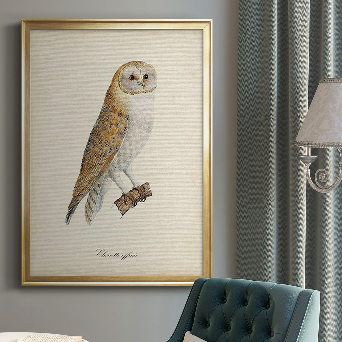 French Owls VI - Modern Framed Canvas Print