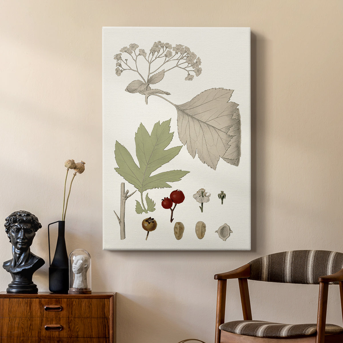 Leaves & Berries II - Canvas Art Print