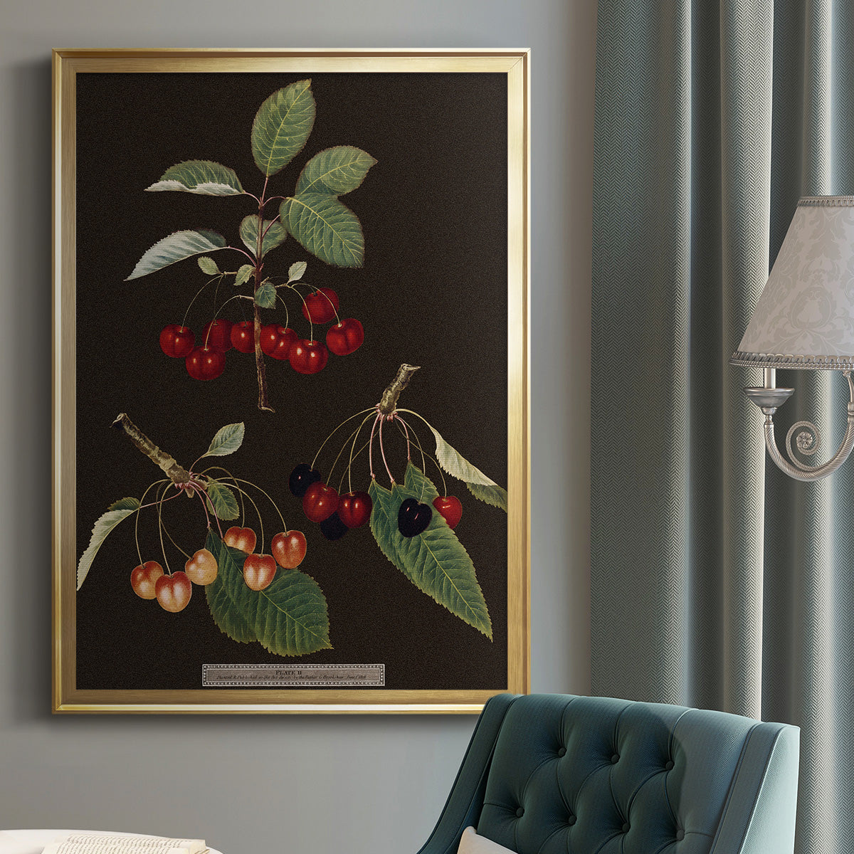 Brookshaw Cherries - Modern Framed Canvas Print