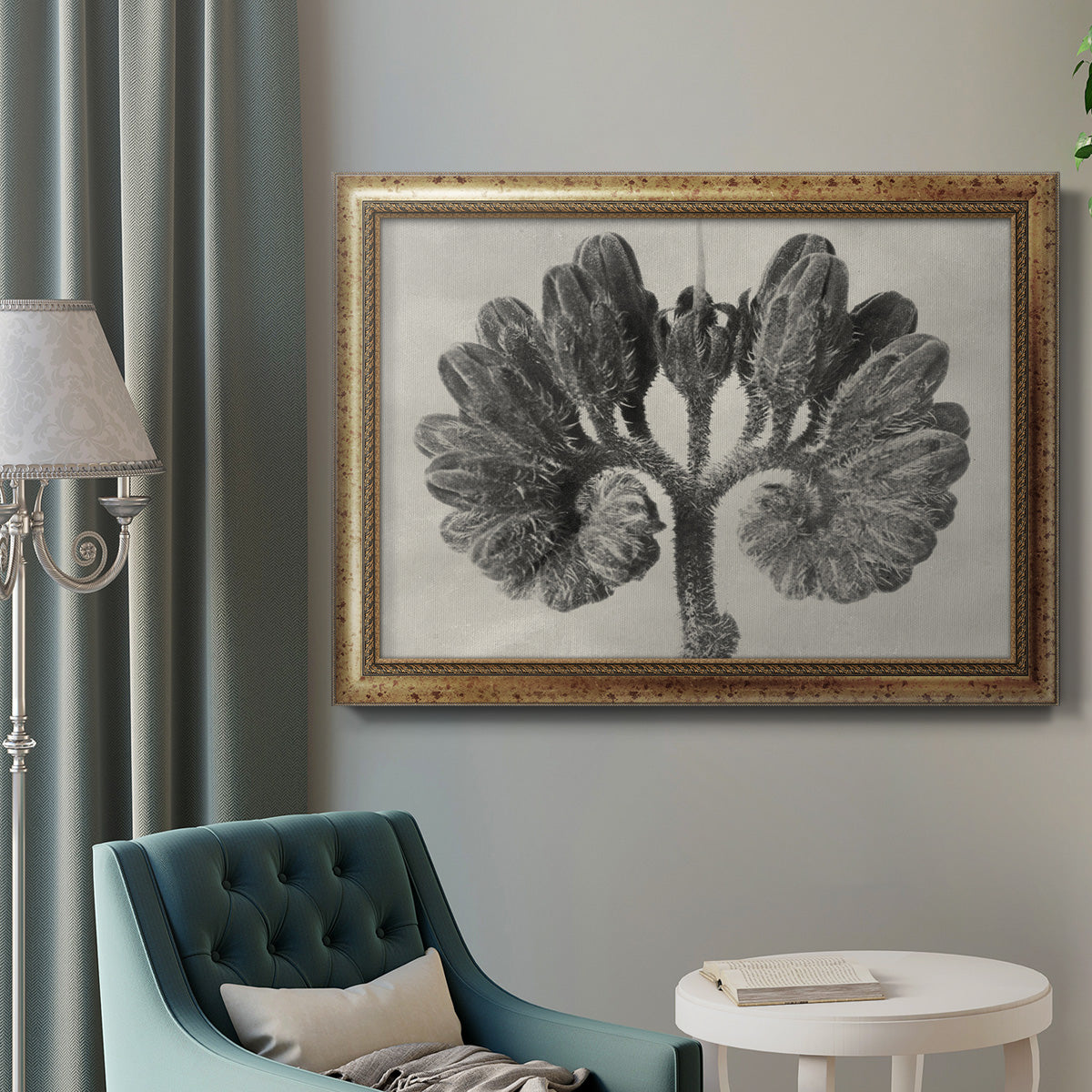 Blossfeldt Botanical VIII Premium Framed Canvas- Ready to Hang