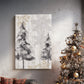 Silver Pines Square - Canvas Art Print
