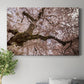 Spring's Arrival - Canvas Art Print