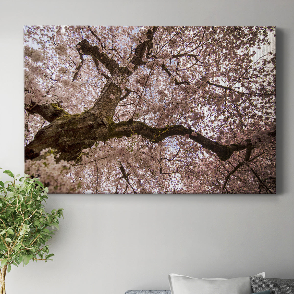 Spring's Arrival - Canvas Art Print