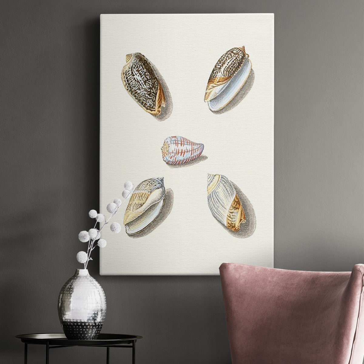 Pastel Knorr Shells III - Canvas Art Print