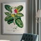 Imperial Tropical Botanical I - Modern Framed Canvas Print