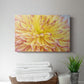 Blooms III - Canvas Art Print