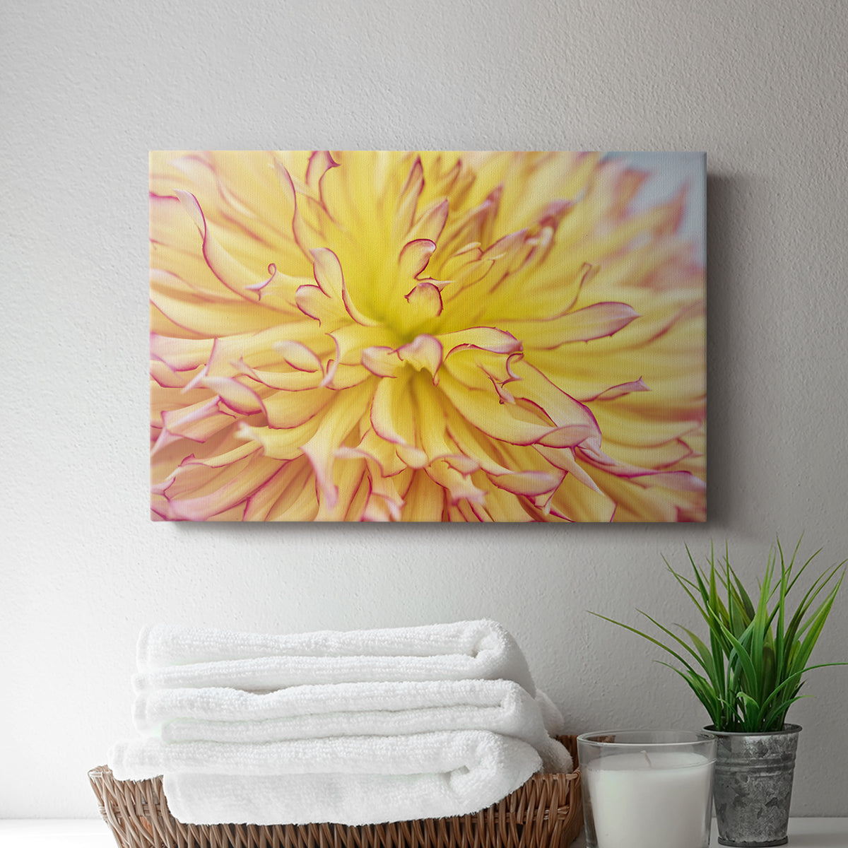 Blooms III - Canvas Art Print