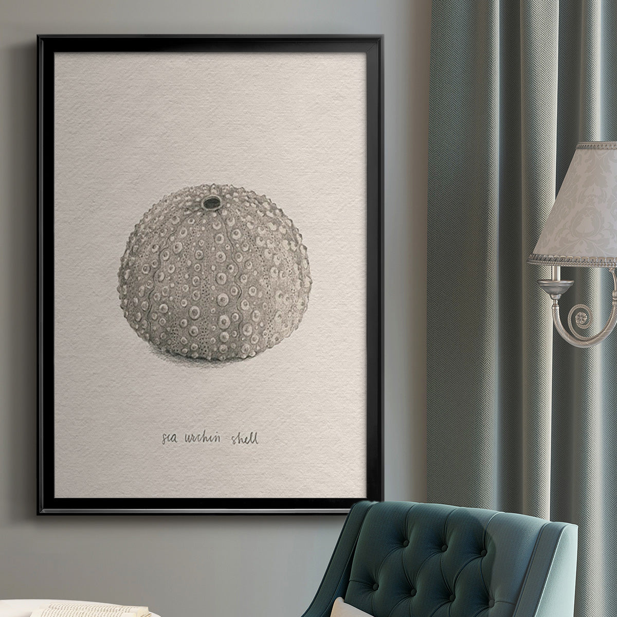 Shore Treasure Study I - Modern Framed Canvas Print