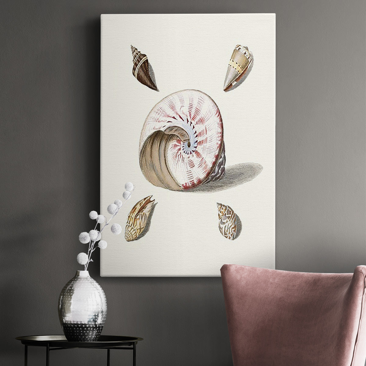 Pastel Knorr Shells II - Canvas Art Print