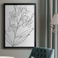 Botanical Sketch I - Modern Framed Canvas Print