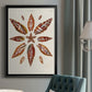 Spiral Shell Formation I - Modern Framed Canvas Print