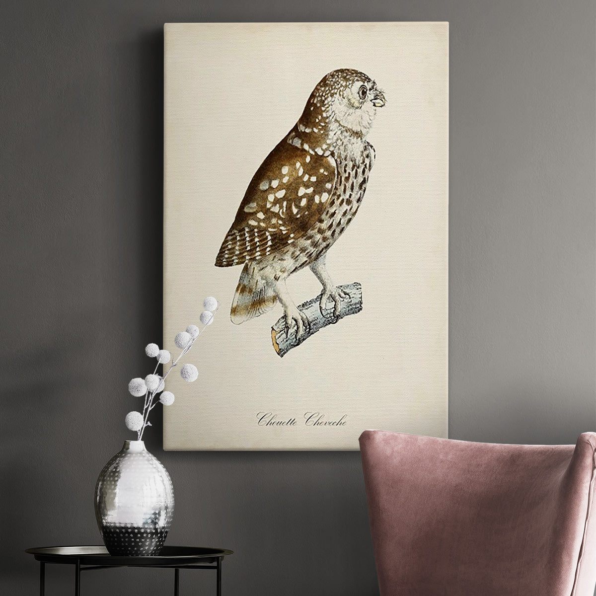 French Owls I Premium Gallery Wrapped Canvas - Ready to Hang