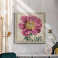 Peony Collection III - Canvas Art Print