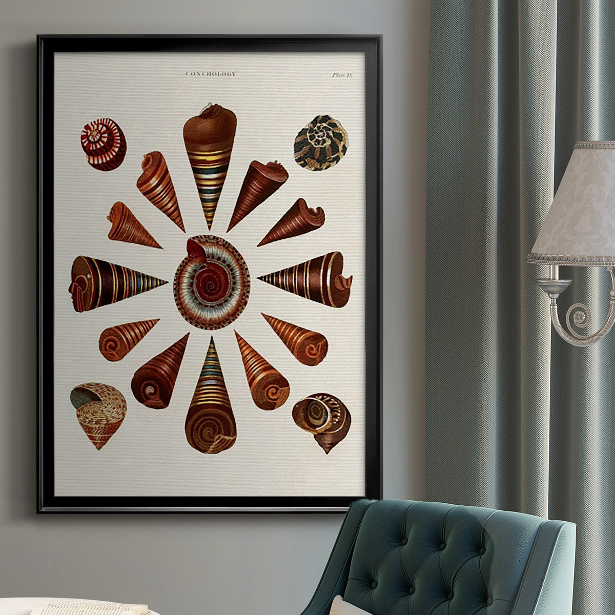 Spiral Shell Formation IV - Modern Framed Canvas Print