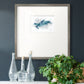 Blue Turtle II - Double Matboard Framed Print